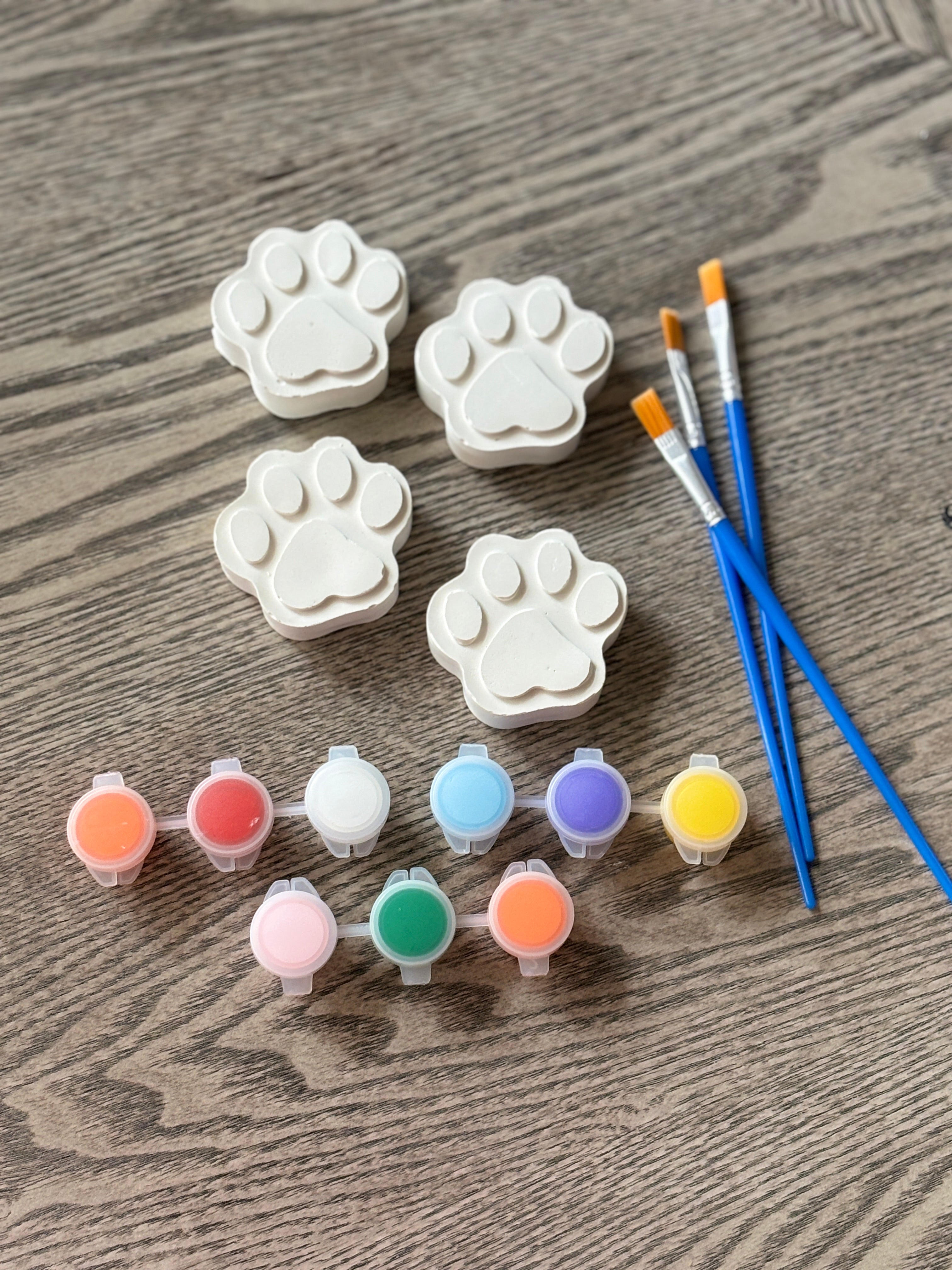 Paw print kit