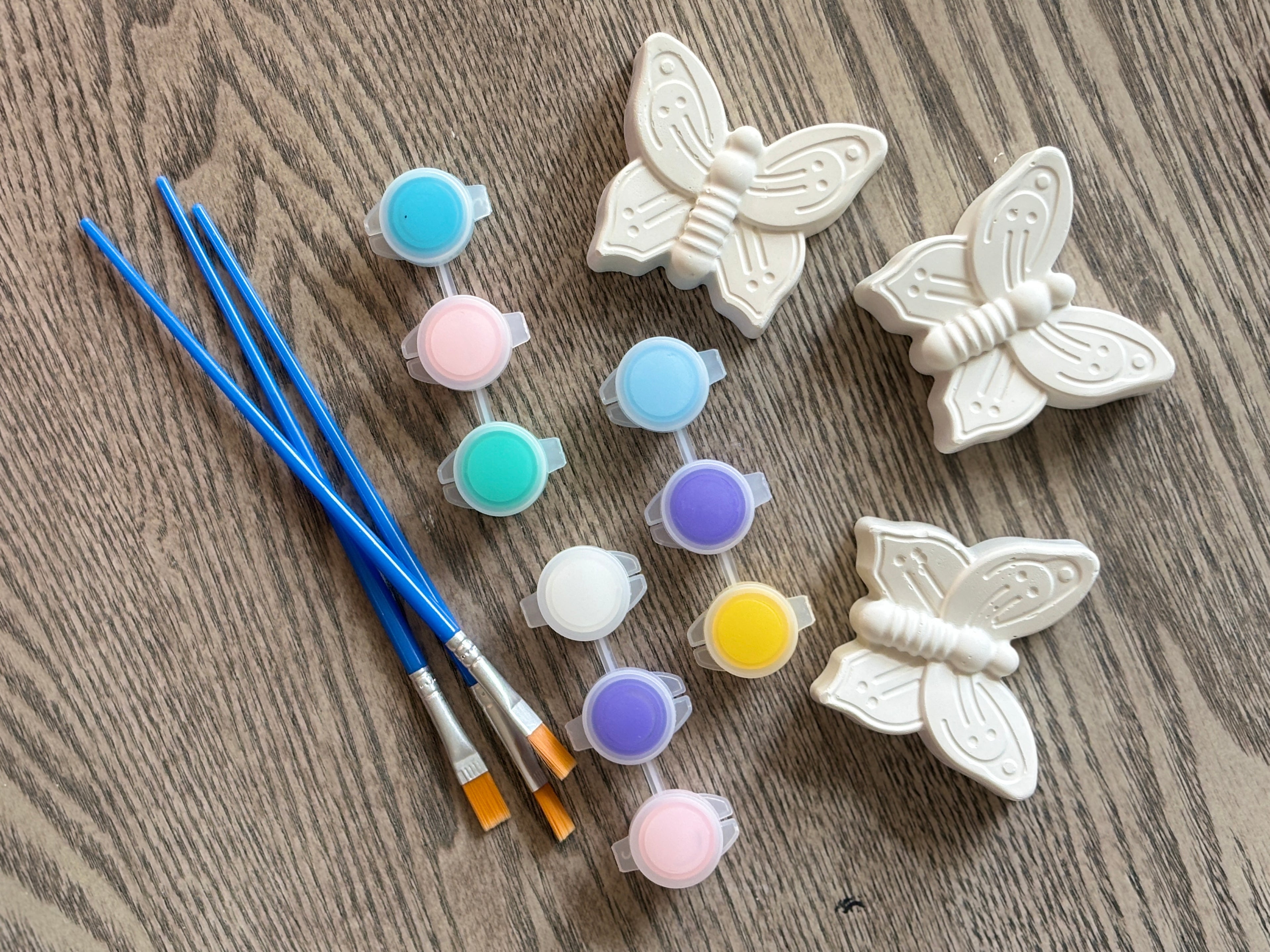 Butterfly Dreams Kit