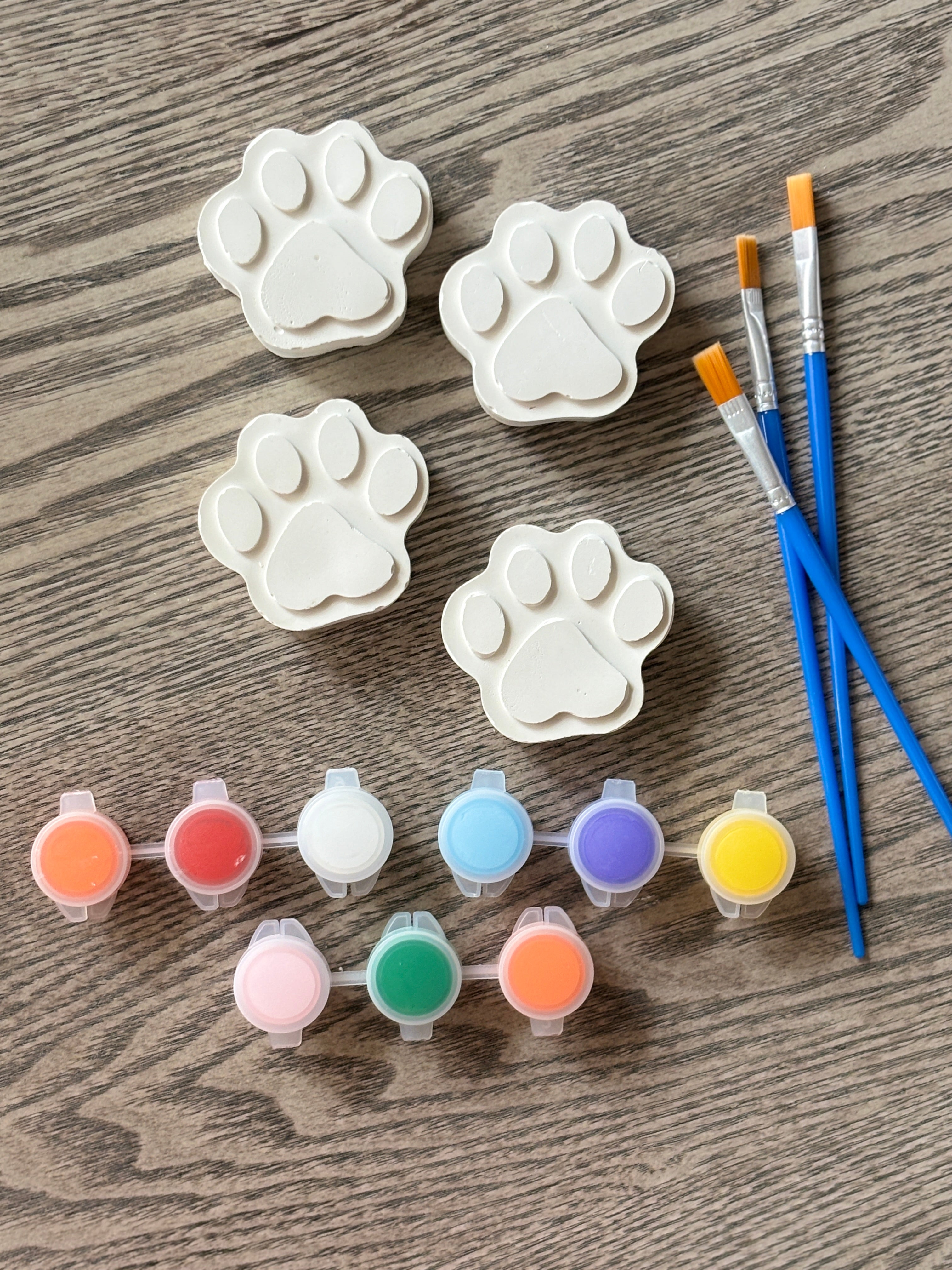 Paw print kit