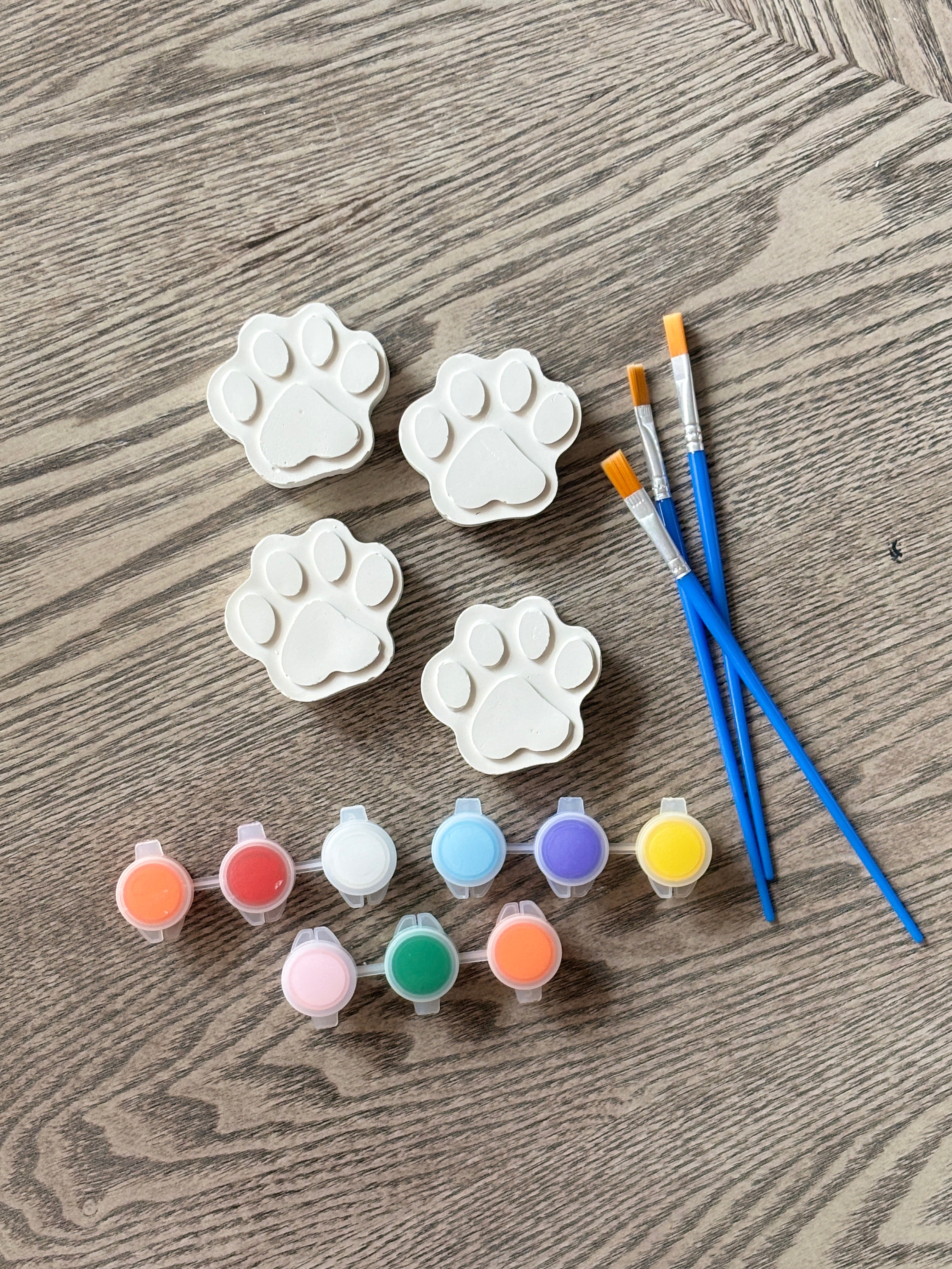 Paw print kit